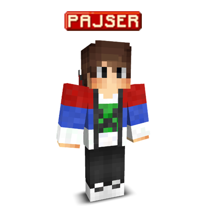 PAJSER visual data 8